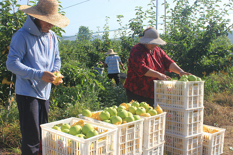 ��ó������Ѕ^(q��)ǰ�����@�����@���������ˣ�