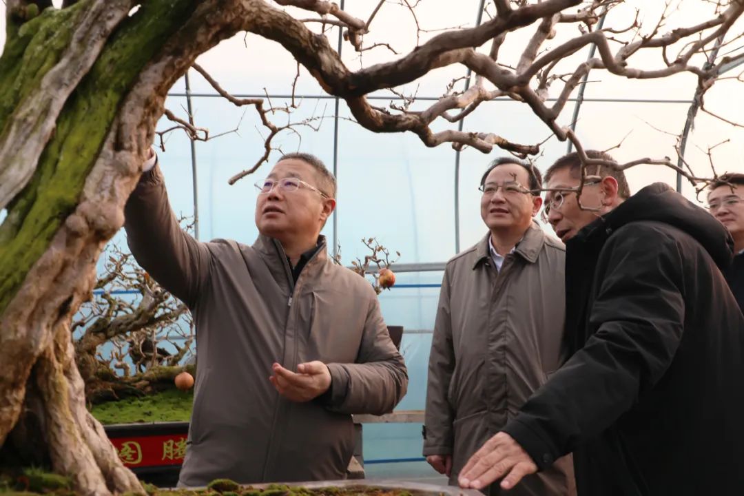 ���f��ί����ӛ������ί��ӛ�����ށ�F�ǅ^(q��)�{(di��o)��ʯ��a(ch��n)�I(y��)�l(f��)չ����