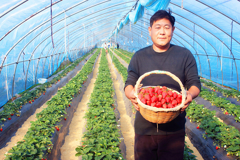 2025��ɽ�|��ݮ�a(ch��n)�I(y��)���(hu��)�A�M���_�����f���R�ϲ�ݮ�@��ժ�ý�(ji��ng)